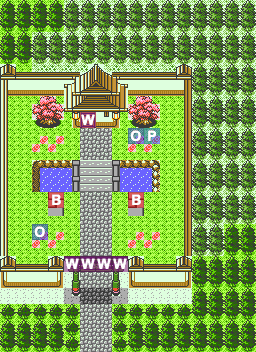 Ecruteak Shrine Outside map