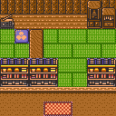 Mount Moon Gift Shop map